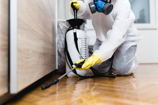 Best Pest Control Near Me  in Ivanhoe, CA