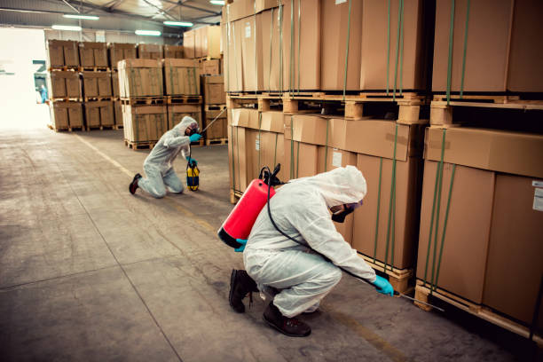 Best Bed Bug Extermination  in Ivanhoe, CA