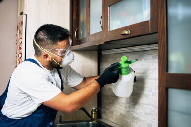 Best Pest Inspection Near Me  in Ivanhoe, CA