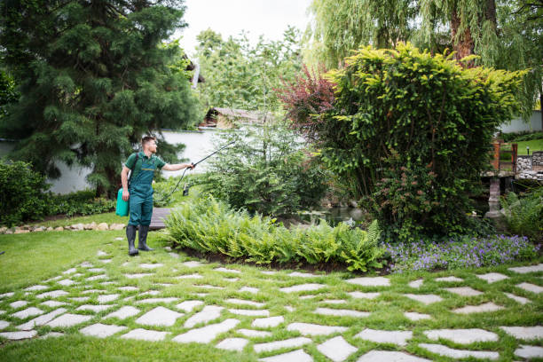 Best Commercial Pest Control Services  in Ivanhoe, CA