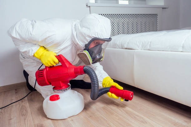 Best Affordable Pest Control Services  in Ivanhoe, CA