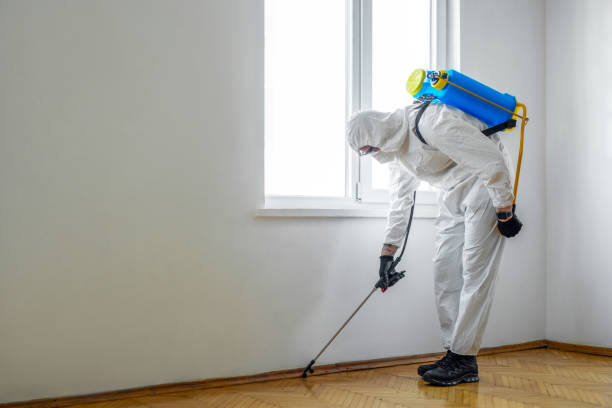 Best Cockroach Control Services  in Ivanhoe, CA