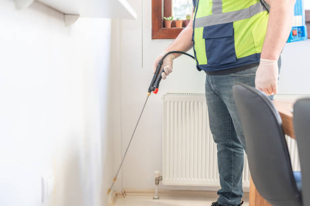 Reliable Ivanhoe, CA Pest Control Solutions
