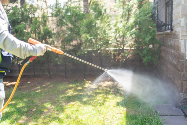 Wildlife Control Services in Ivanhoe, CA