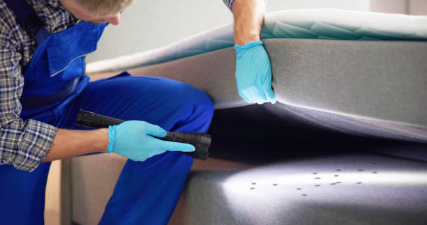 Best Flea Control Services  in Ivanhoe, CA