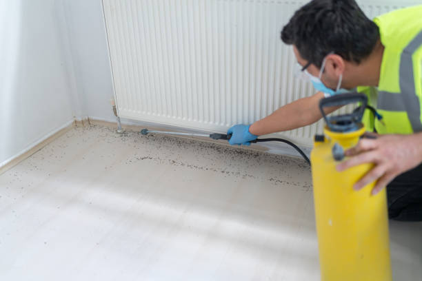 Best Wasp Removal Services  in Ivanhoe, CA