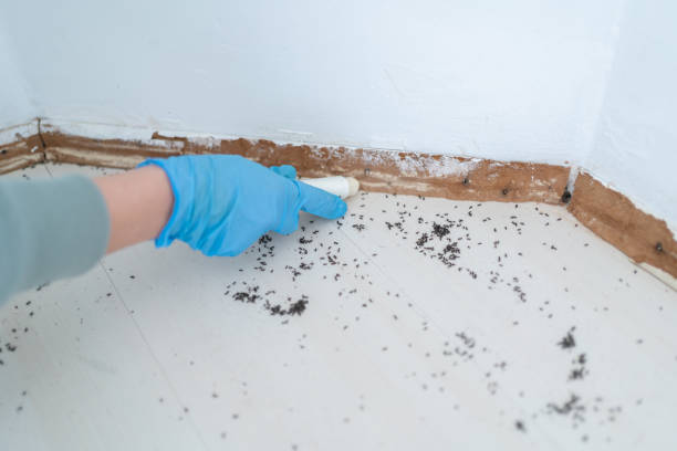 Best Wildlife Control Services  in Ivanhoe, CA