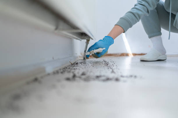 Best Best Pest Control Companies  in Ivanhoe, CA