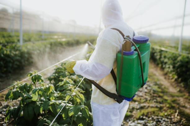 Best Emergency Pest Control  in Ivanhoe, CA